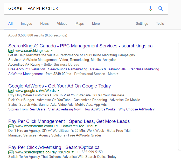 GOOGLE PAY PER CLICK CAMPAIGN